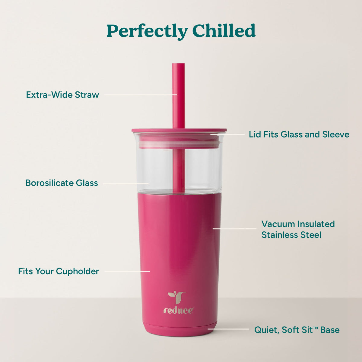 aspen-20-oz-h6 Aspen_Dragonfruit_PDP_Infographic2.jpg