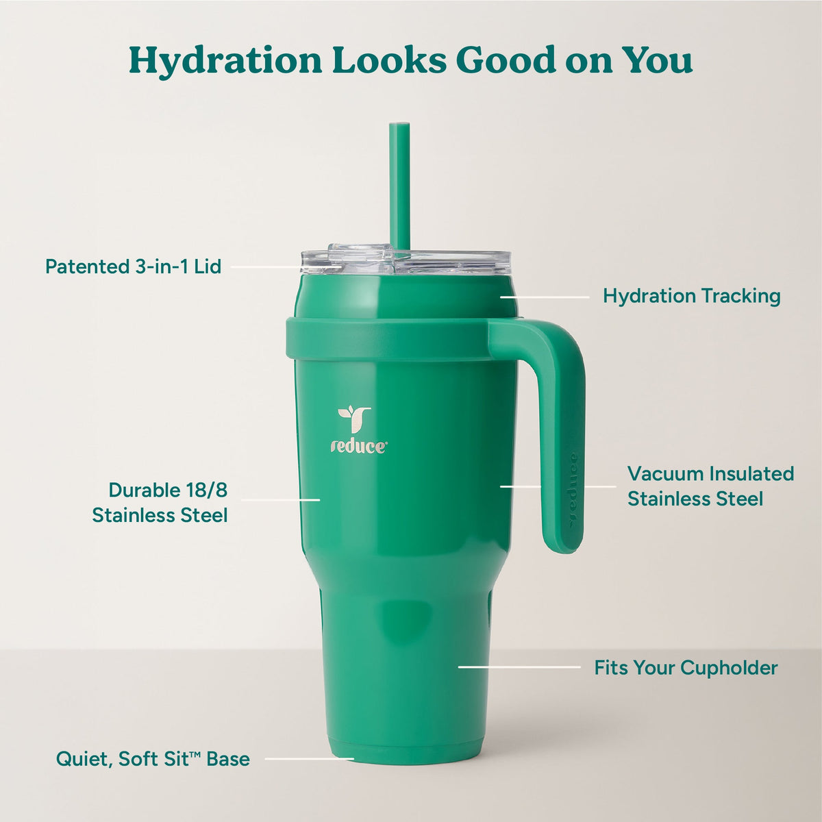 cold1-40-oz-r9 Cold1_40oz_PalmLeaf_Infographic_2.jpg