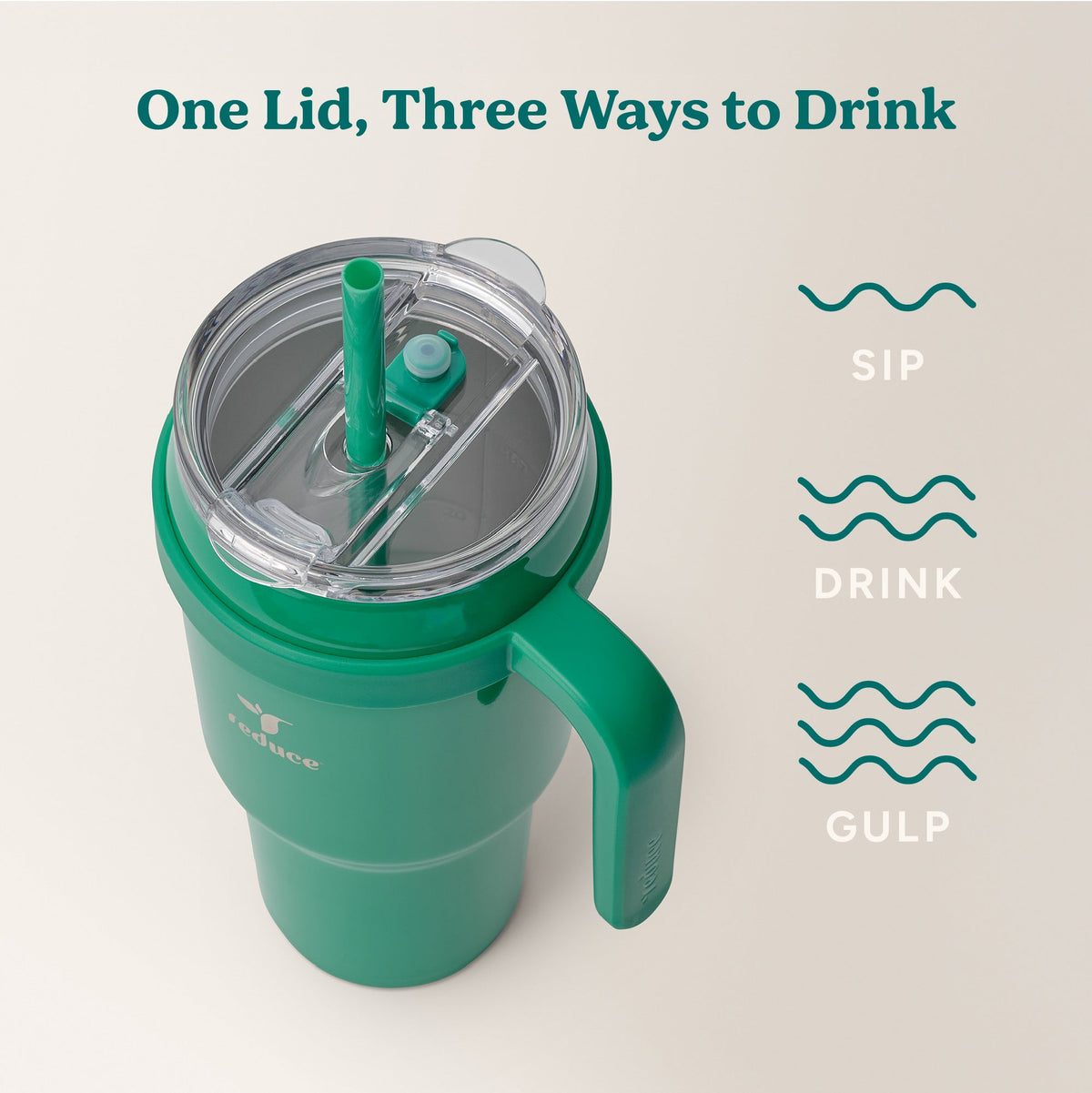 cold1-40-oz-r9 Cold1_40oz_PalmLeaf_Infographic_3.jpg