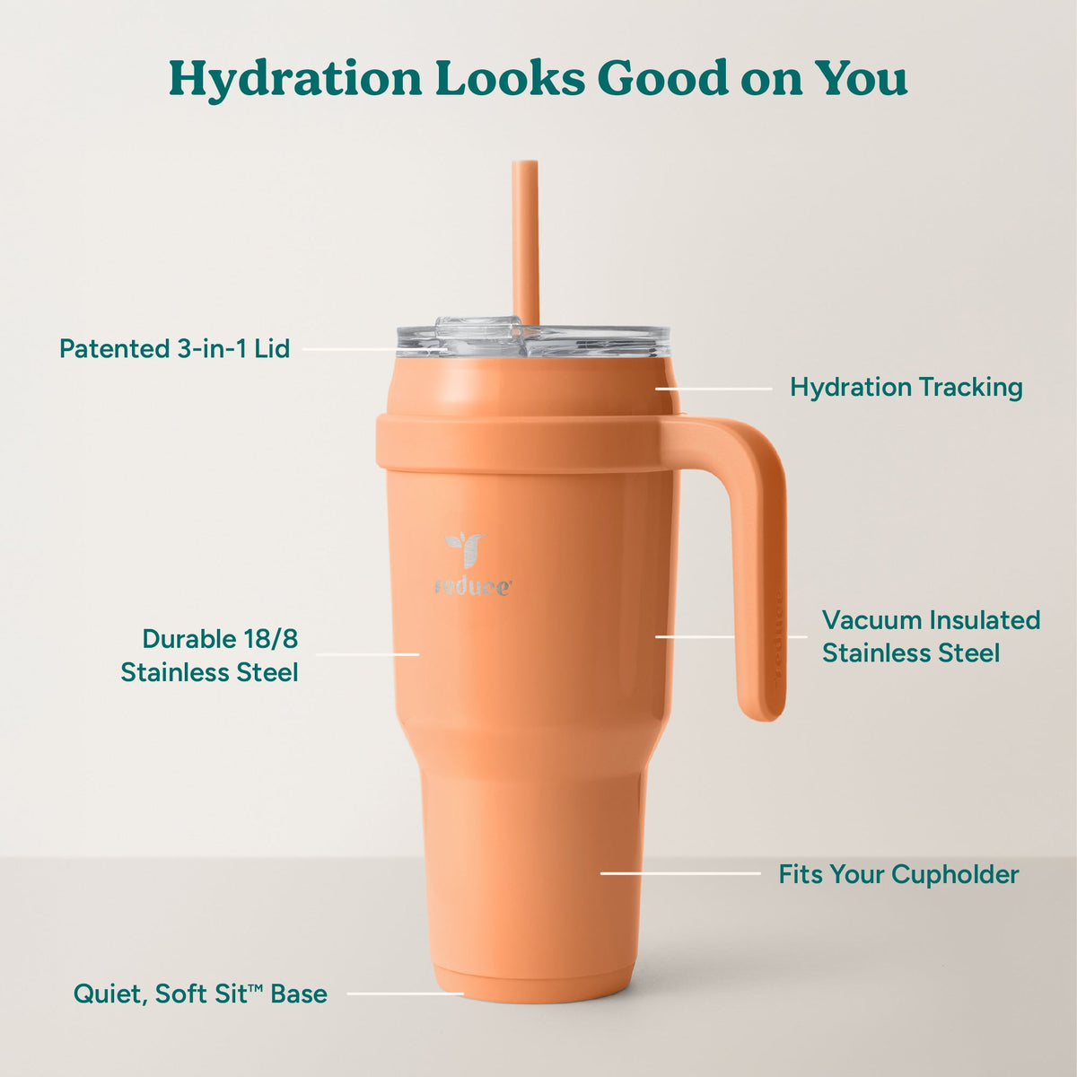cold1-40-oz-r9 Cold1_40oz_Papaya_Infographic_2.jpg